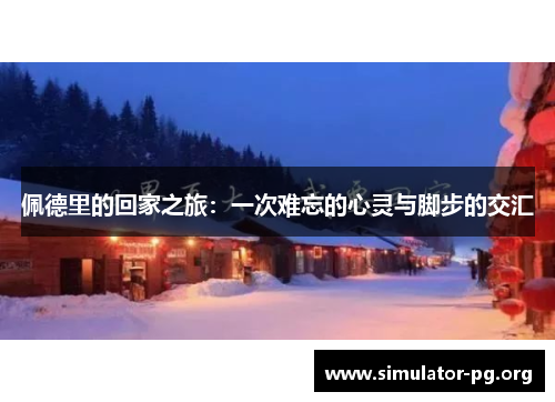 佩德里的回家之旅：一次难忘的心灵与脚步的交汇