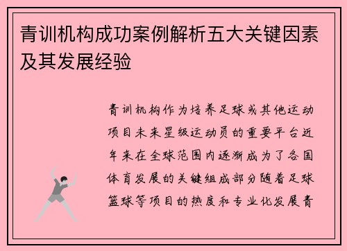 青训机构成功案例解析五大关键因素及其发展经验