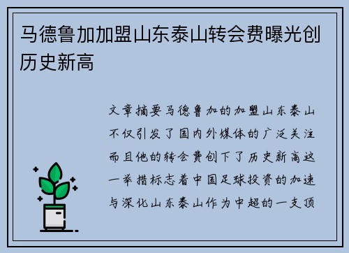 马德鲁加加盟山东泰山转会费曝光创历史新高