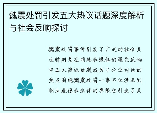 魏震处罚引发五大热议话题深度解析与社会反响探讨
